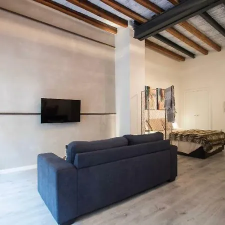 Beautiful Loft In Old Town *